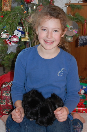 Emma wiht Guinea Pigs